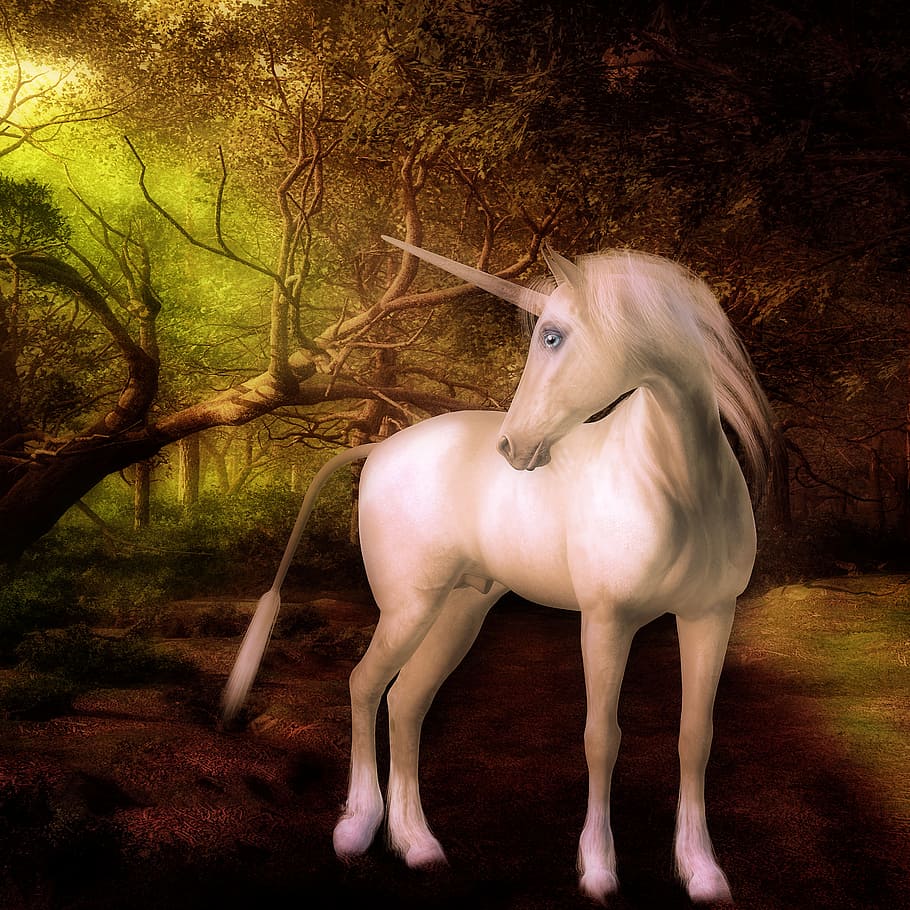 unicorn, fantasy, creatures, mane, white, horn, toon, cute, wait, digitalart