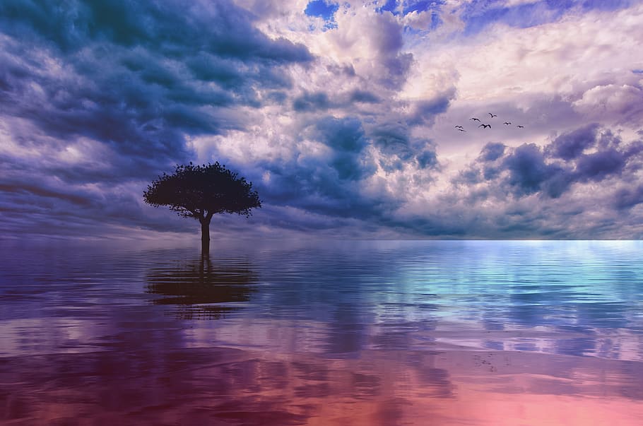tree, sky, water, lake, still, ocean, clouds, blue, tranquil, zen