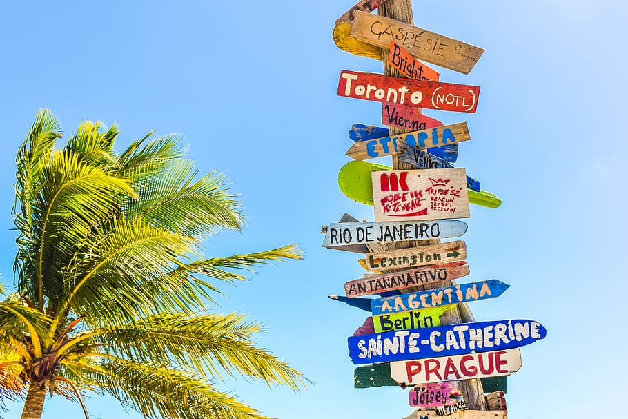trip, voyage, journey, directions, map, distance, tropical climate, palm tree, sign, tree