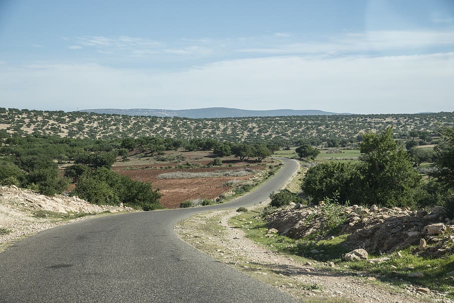 marrocos, estrada, árvores, óleo de argan, paisagem, rural, céu, cheio de curvas, árvore de argan, estrada costeira