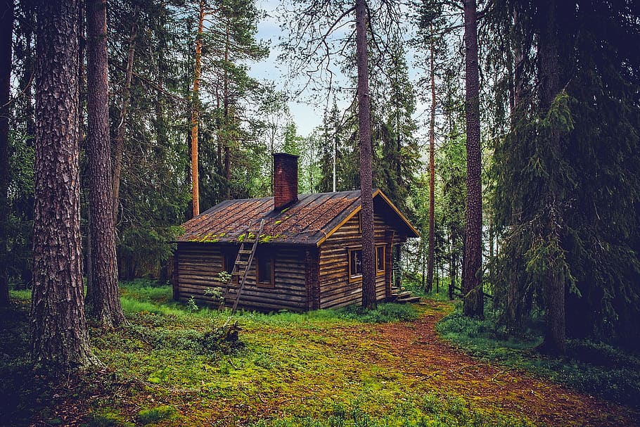 log cabin, cottage, house, home, finland, landscape, nature, outdoors, country, rural