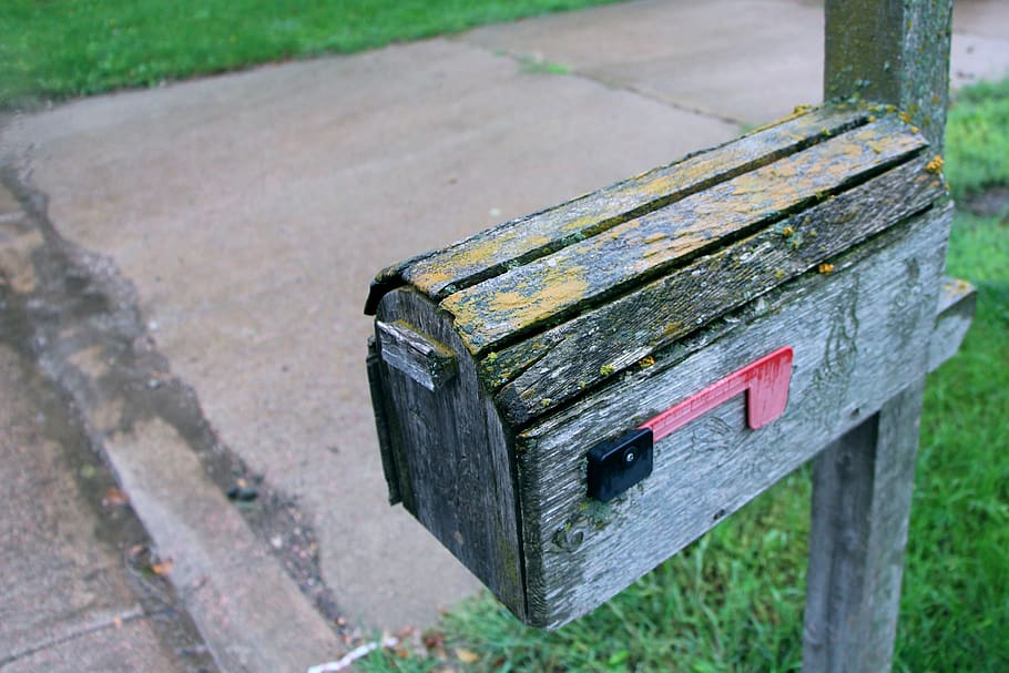 mail, mailbox, wood, inbox, wood - material, day, focus on foreground, nature, plant, outdoors