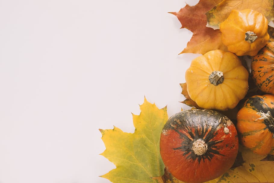 pumpkins, white, background, autumn, leaves, food and drink, pumpkin, food, healthy eating, copy space