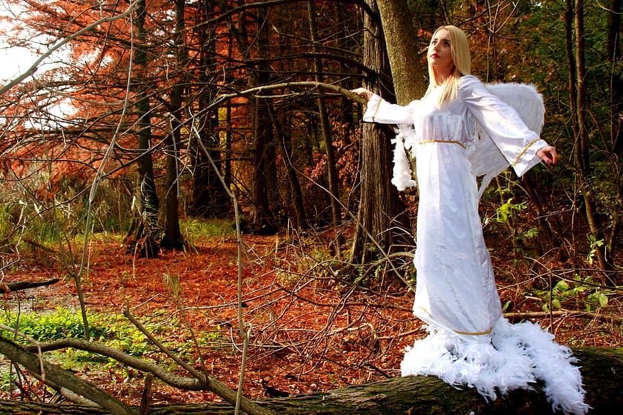 blonde, girl, woman, angel, princess, white, tree, forest, plant, nature