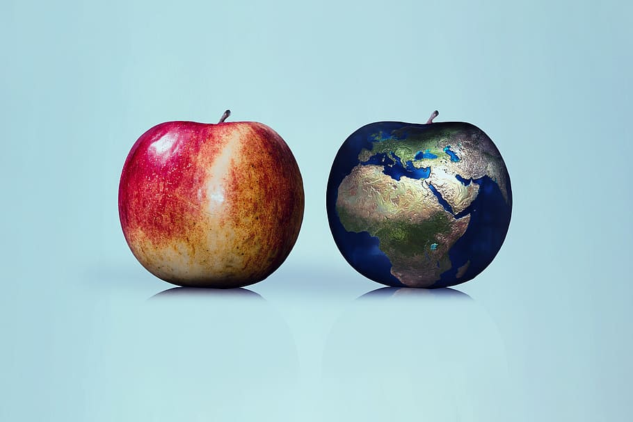 manzana, tierra, globo, comparación, naturaleza, renovable, adelante, ecología, símbolo, medio ambiente