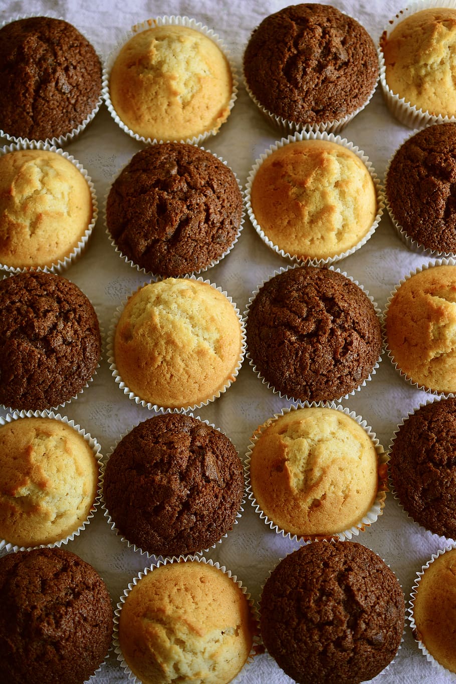 muffins, pastries, baked, bake, cupcakes, dessert, food, chocolate, cake, eat
