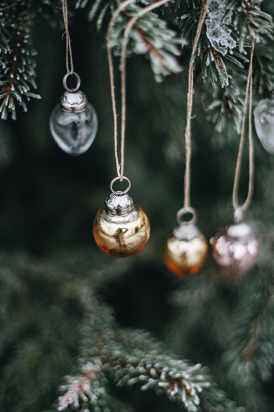 dekorasi liburan yang chic, pohon, dekorasi, liburan, natal, bola Natal, xmas, di luar ruangan, ornamen, menggantung