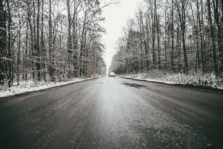 cara, jalan, jalan raya, jalan aspal, mobil, perjalanan, kuda, musim dingin, basah, berbahaya