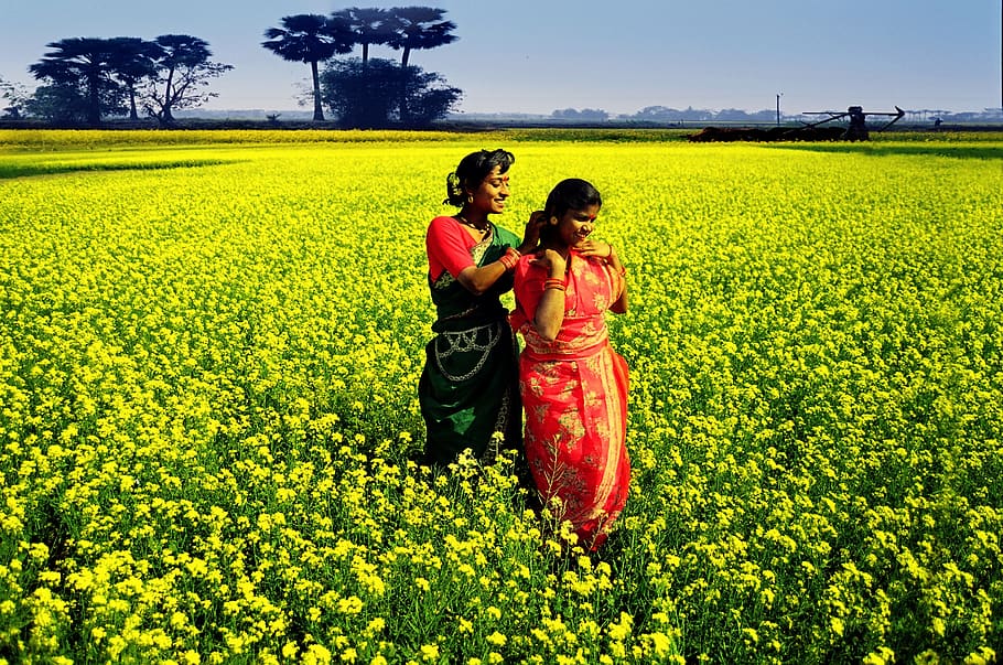 bangladesh, village, women, field, plant, land, real people, two people, growth, yellow
