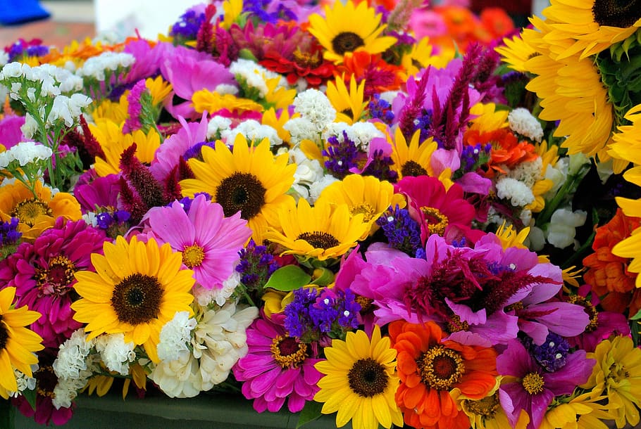 mercado de agricultores flores mixtas, girasoles, flores, danés, condado, agricultores, mercado, madison, wisconsin, girasol