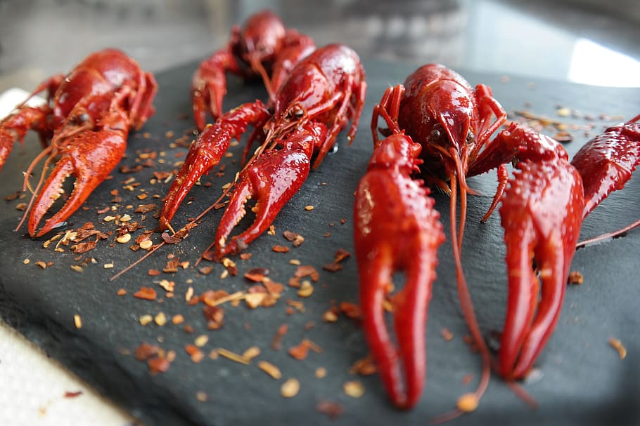 boiled crayfish, eat, food, claw, food and drink, red, freshness, close-up, still life, wellbeing