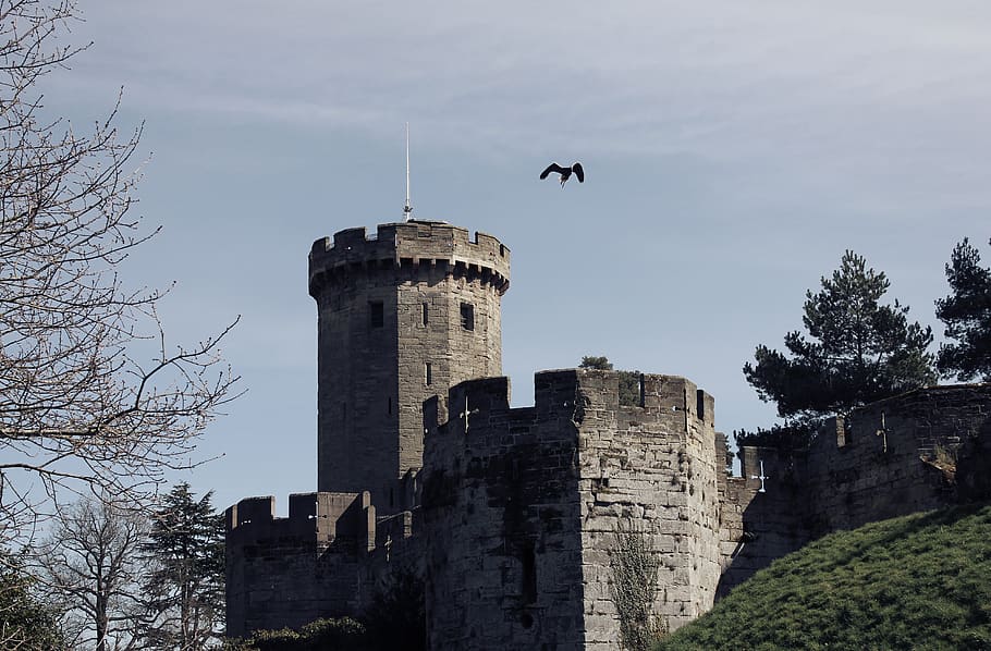 castle, eagle, flying, sky, epic, old, ancient, warwick, keep, tower