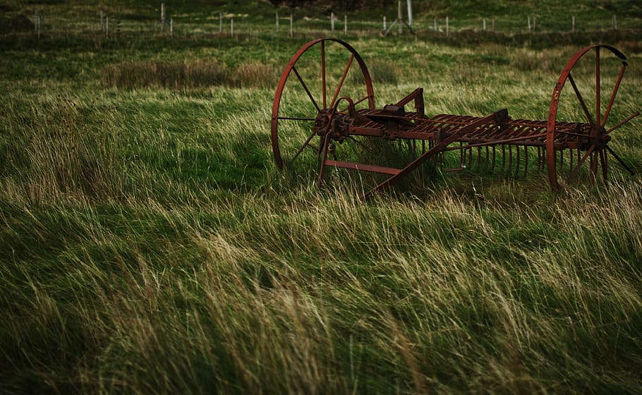 agriculture, device, rust, machine, tillage equipment, rusted, field, forget, weathered, landtechnik