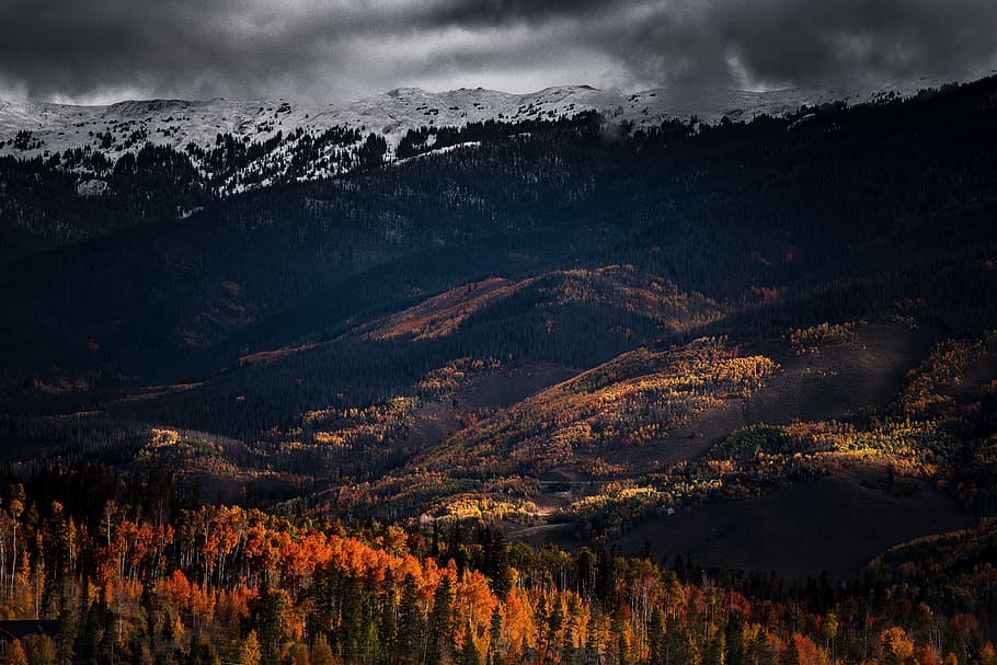 mountain, valley, trees, landscape, nature, view, cloudy, autumn, fall, sky