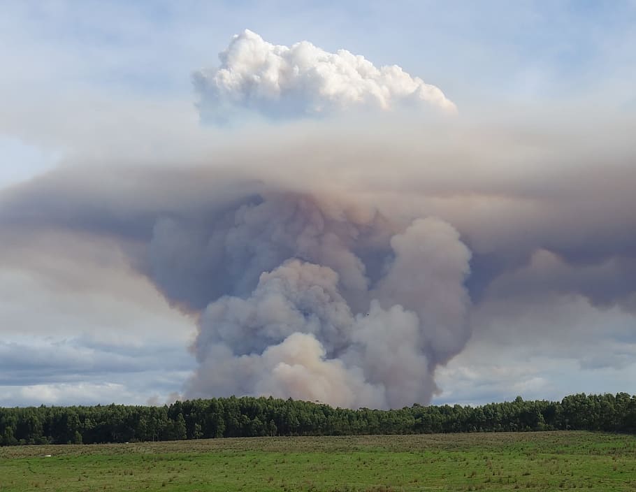 quemadura forestal, crea, enorme, hongo atómico, nube, nubes, hongo, combustible, emisión, clima