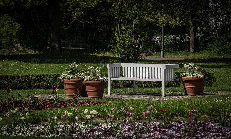 park bench, garden, bank, rest, seat, sit, bauhaus, nature, spring, flowers