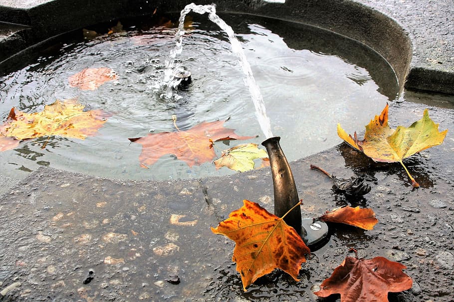 manhole, stone, wet, rain, yellow leaves, water, autumn gold, foliage, fountain, autumn