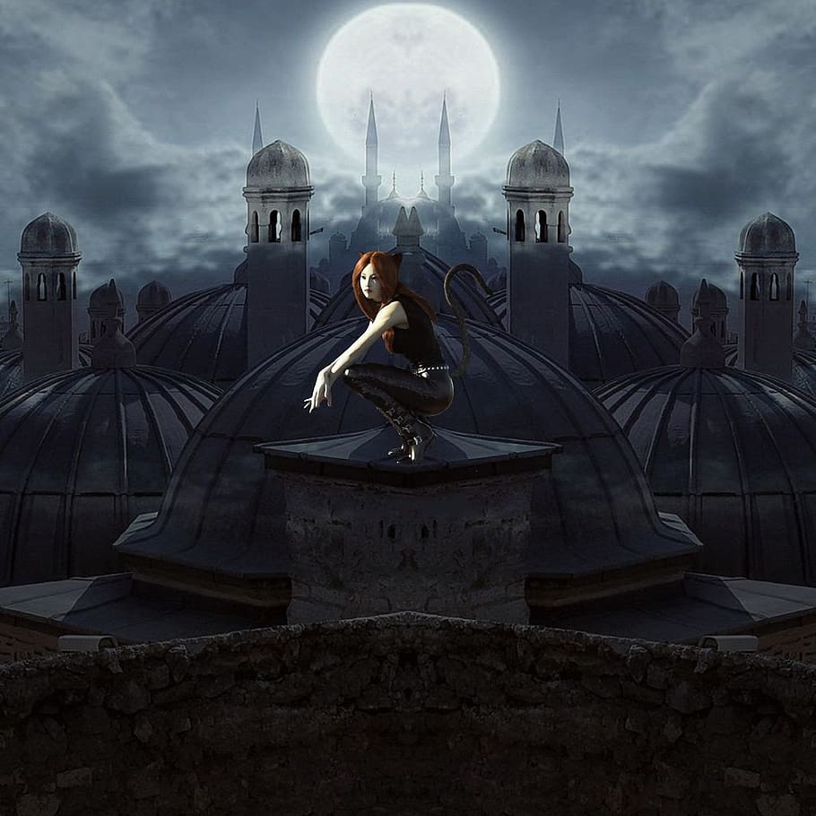 cat, roof, woman, moon, night, fantasy, roofs, ghostly, evening sky, moonlight