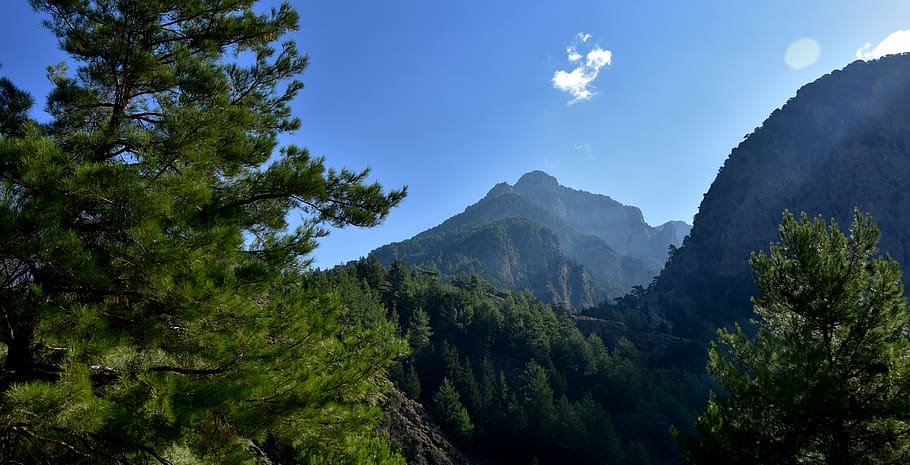 the samaria gorge, crete, gorge, mountains, greece, transition, lefka ori, tree, mountain, plant