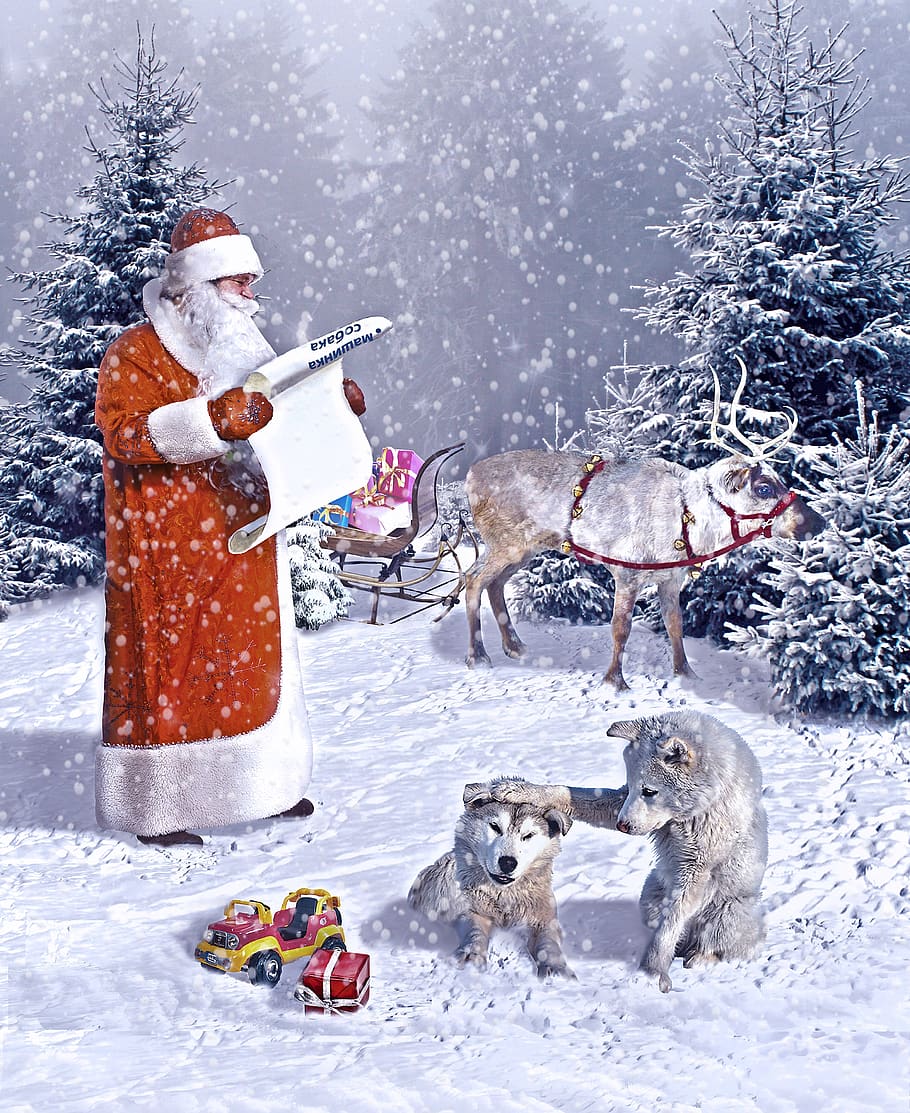 new year's eve, gifts, santa claus, deer, holiday, snow, winter, cold temperature, mammal, snowing