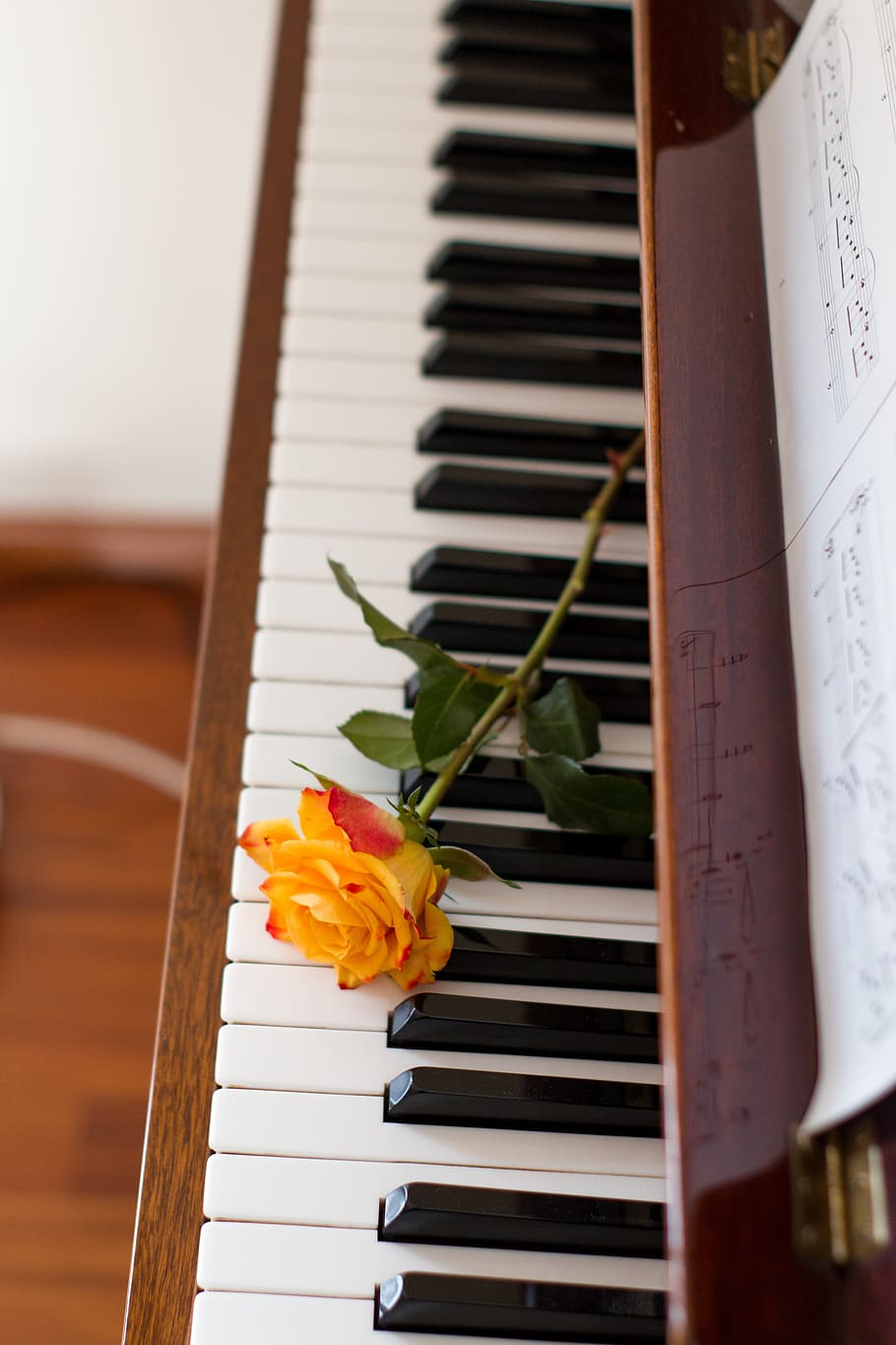 flower, music, piano, romantic, instrument, flowering plant, plant, beauty in nature, nature, freshness