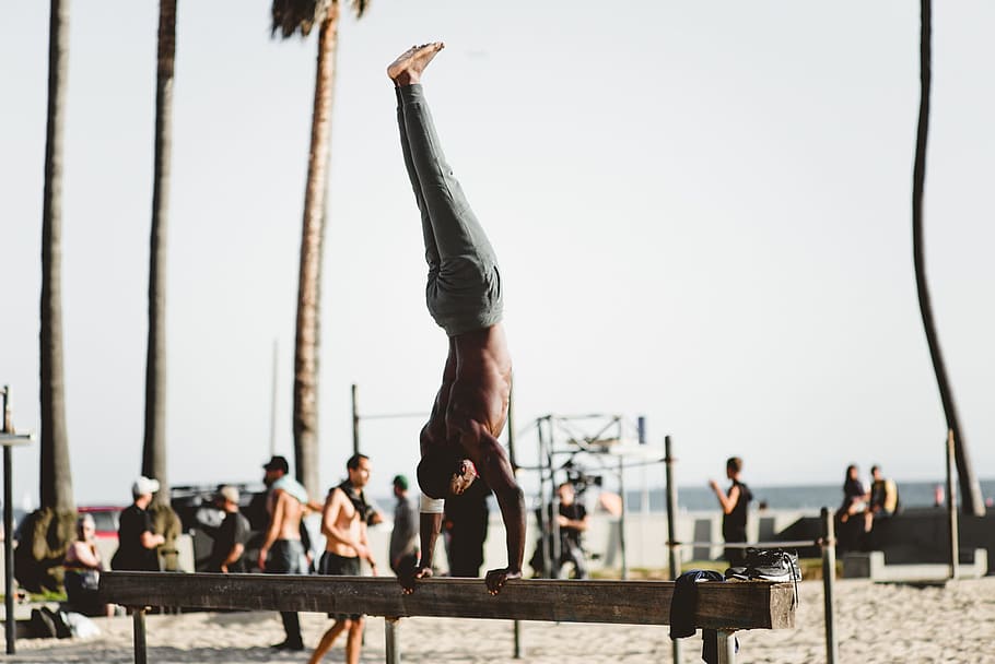 man, handstand, bench, beach, arms, people, gym, workout, recreation, real people