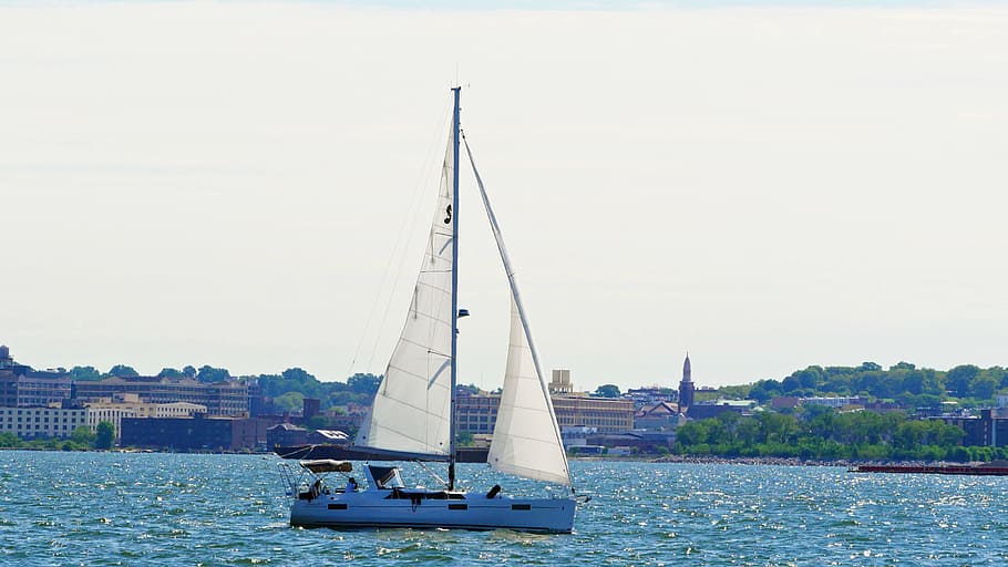 sailboat, waters, new, york harbor, brooklyn water front, background., pictures of sailboats, sailboat pictures, boat pictures, sailing boat