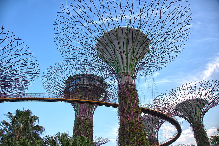 singapura, pohon super, pohon supertree, modern, tengara, pariwisata, futuristik, taman, objek wisata, arsitektur