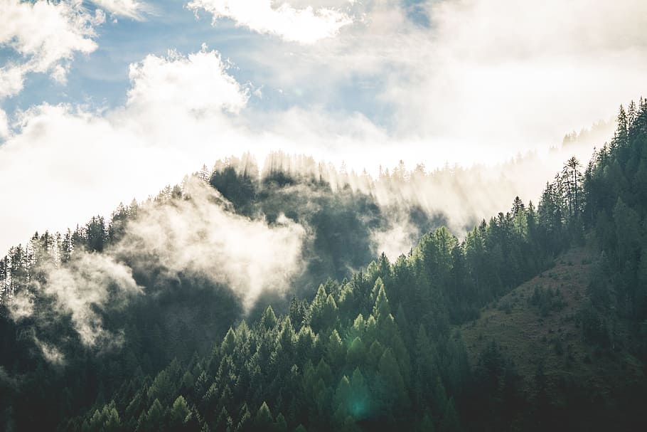 belo, cenário de floresta de montanha de manhã, nuvens, nevoeiro, floresta, ar fresco, manhã, montanhas, natureza, cenário