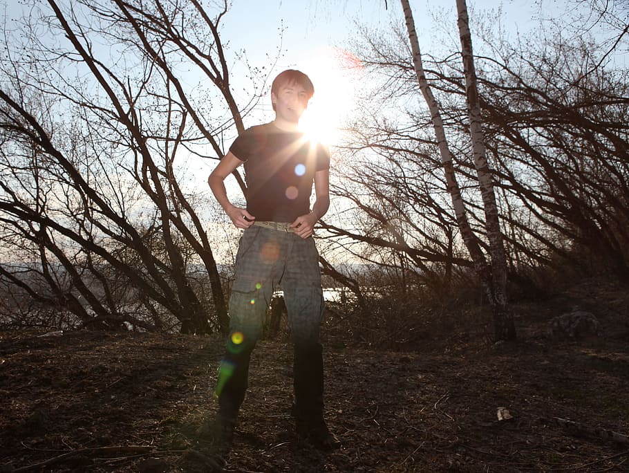 man, sun, standing, woods, tree, flair, rays, person, male, guy