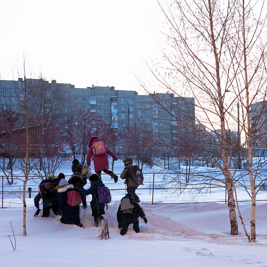 kids, winter, snow, child, fun, group, boy, outside, people, smiling