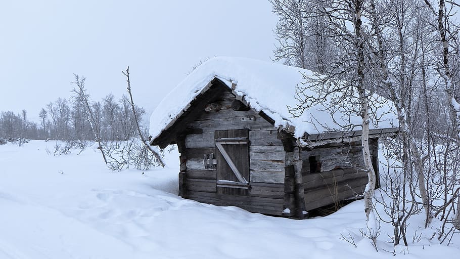 norway, winter, snow, landscape, log cabin, wilderness, snowscape, cold temperature, built structure, building exterior