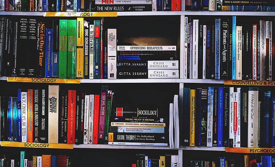 books, reading, bookshelf, bookshop, library, bookshelves, sunlight, shelf, book, publication