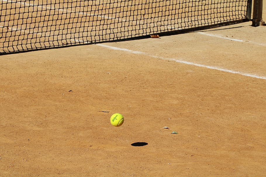 tennis, tennis courts, sport, exercise, ball, a tennis ball, coat, network, line, tennis ball