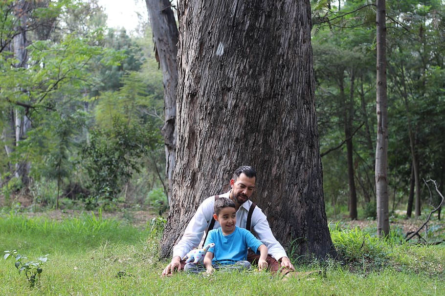 child, tree, nature, forest, man, mexican, latino, person, forests, young