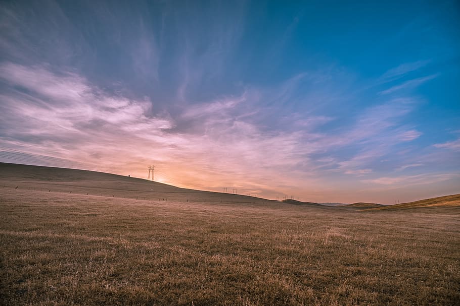 landscape, grassland, field, meadow, dry, utility poles, nature, outdoor, rural, countryside