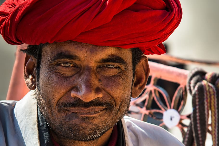 indiano vestindo turbante, pessoas, índia, indiano, masculino, homem, turbante, uma pessoa, retrato, adulto