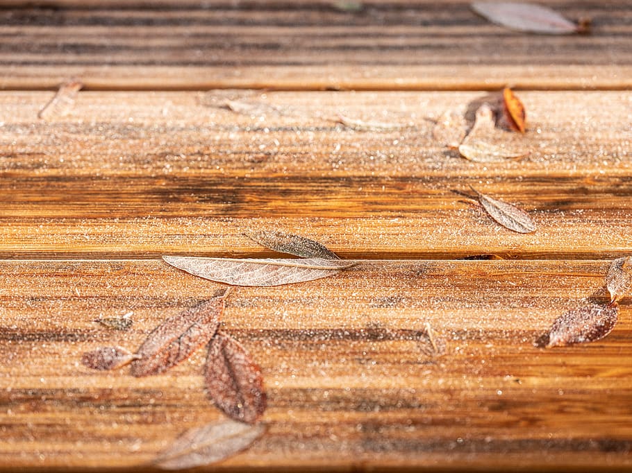 table top, frost, autumn, background, hoarfrost, wood - material, close-up, textured, pattern, selective focus