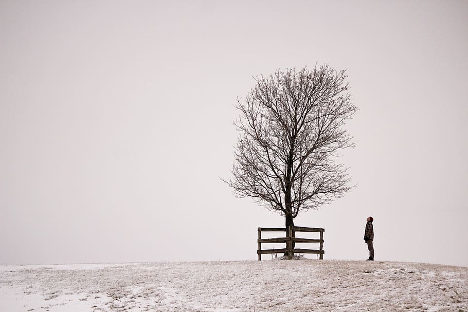 young, caucasian man, tree, snowy, hill, foggy, background, 20-25 year old, branch, cold