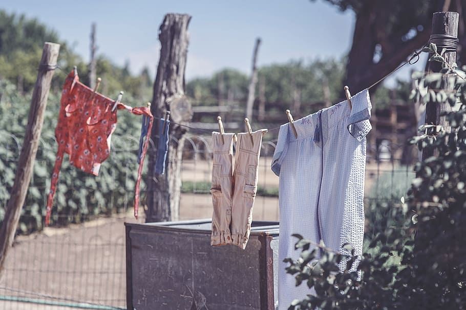 laundry on clothesline, various, hanging, drying, clothesline, laundry, clothing, focus on foreground, textile, clothespin
