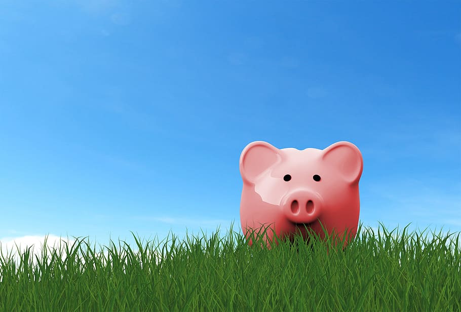 piggy bank, grass, -, savings concept, banking, business, coin, currency, debt, finance