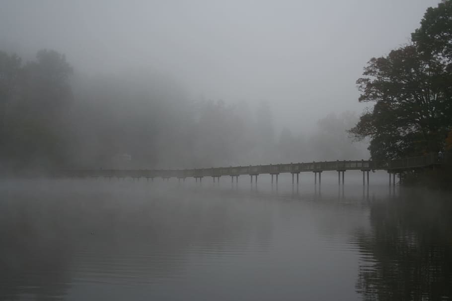 jembatan, danau junaluska, berkabut, pagi., kabut, pagi, abu-abu, berjalan, pohon, air
