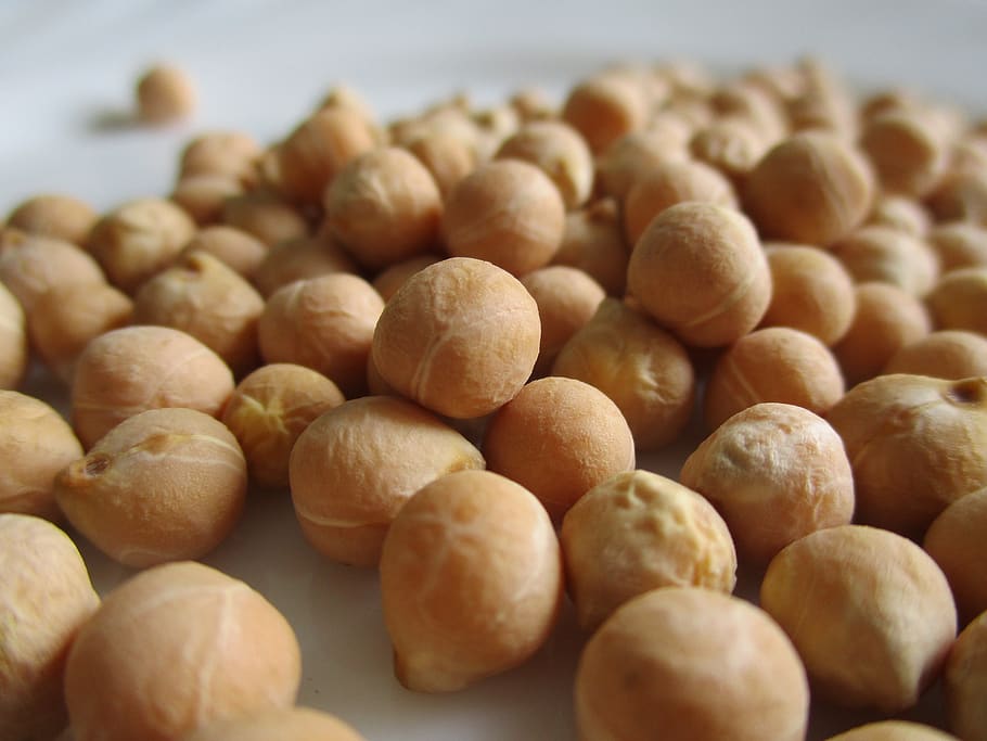 legumes, chickpeas, cicerale, typical, italy, food, food and drink, large group of objects, freshness, close-up