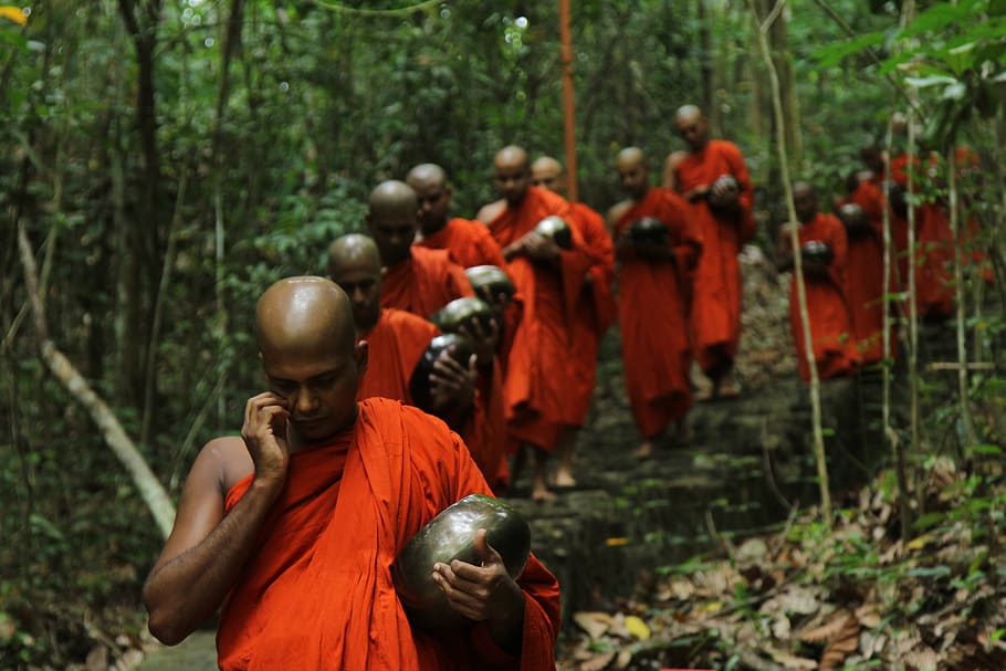 pessoas, religião, adulto, monge, grupo, Buda, viagem, templo, monges, andar