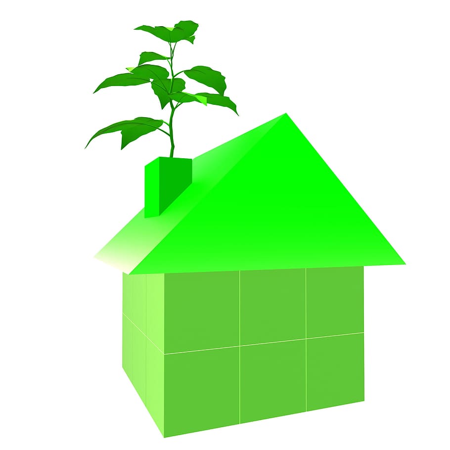 Eco, amigable, casa, mostrando, ir, verde, conservación, apartamento, bungalow, tierra