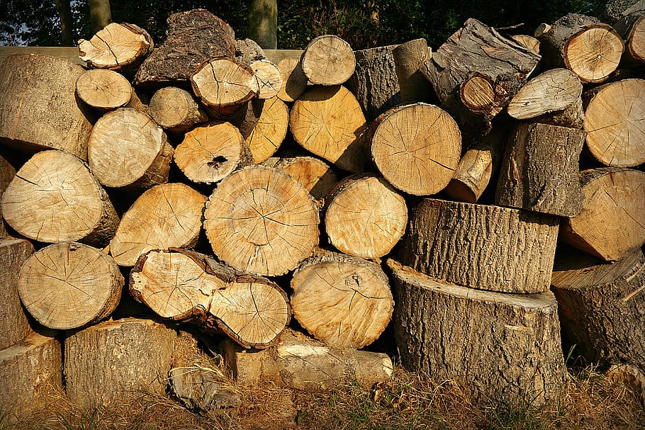 madera, picada, tronco, patrón, textura, corte, aserrado, picado, leña, industria maderera