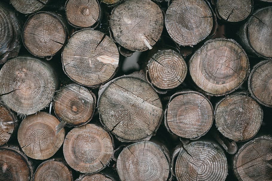 wood, logs, lumber, nature, stack, full frame, timber, firewood, log, backgrounds
