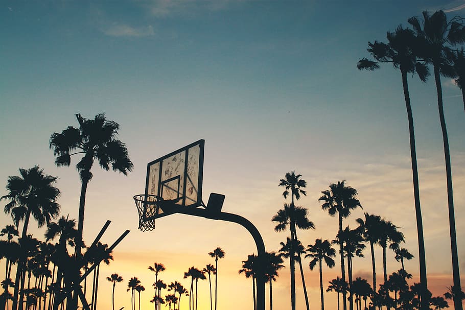 basquete, tribunal, rede, aro, pôr do sol, crepúsculo, céu, nuvens, palmeiras, verão
