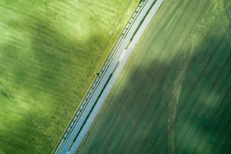 aerial, view, road, middle, field, green color, abstract, backgrounds, pattern, architecture