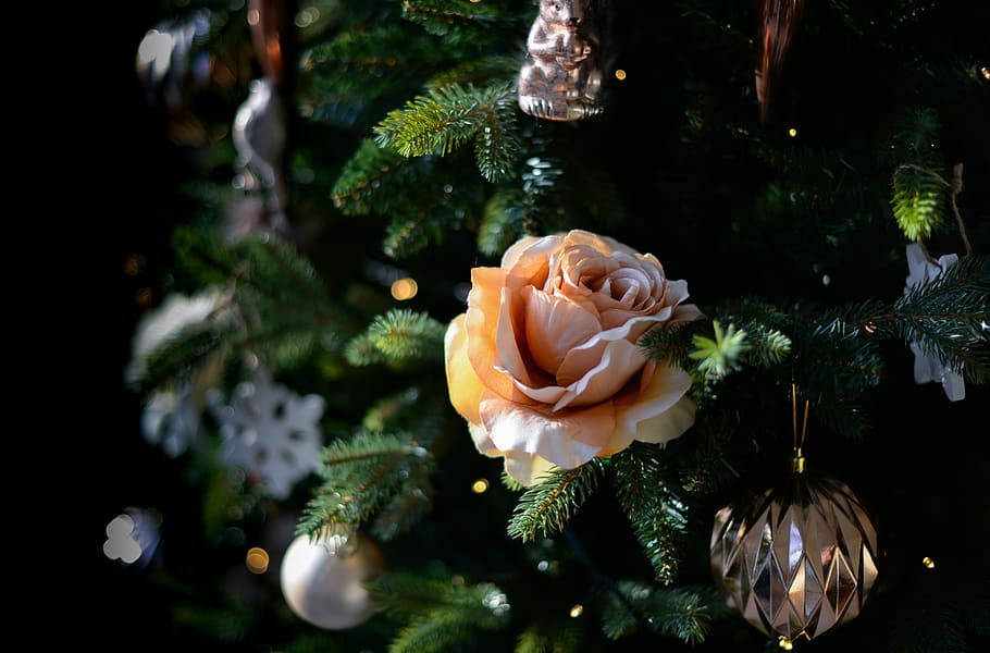 fake, flower, xmas, tree, christmas, lights, snow, green, season, decoration